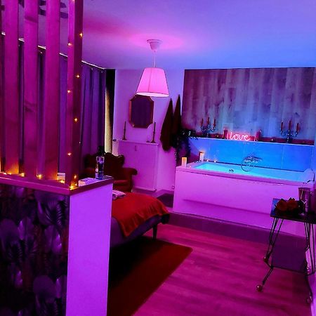Superbe Appartement Colmar Avec Vue Et Jacuzzi Luaran gambar