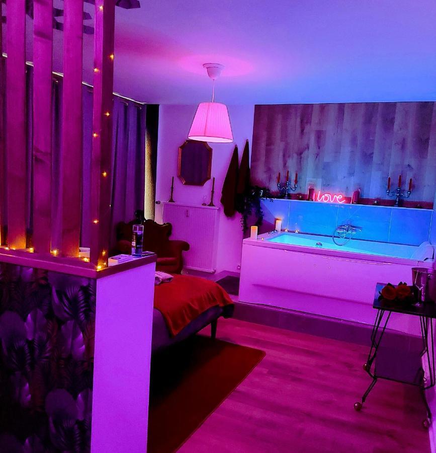 Superbe Appartement Colmar Avec Vue Et Jacuzzi Luaran gambar