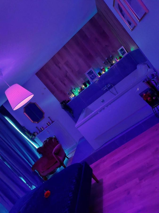 Superbe Appartement Colmar Avec Vue Et Jacuzzi Luaran gambar